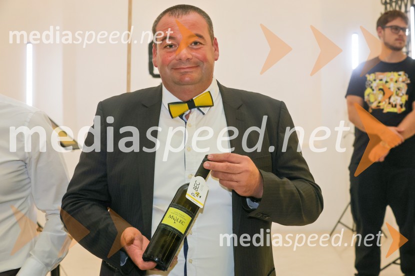 11. Salon štajerskih mladih vin Pubec v Mariboru