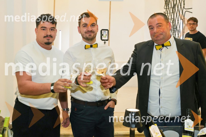11. Salon štajerskih mladih vin Pubec v Mariboru