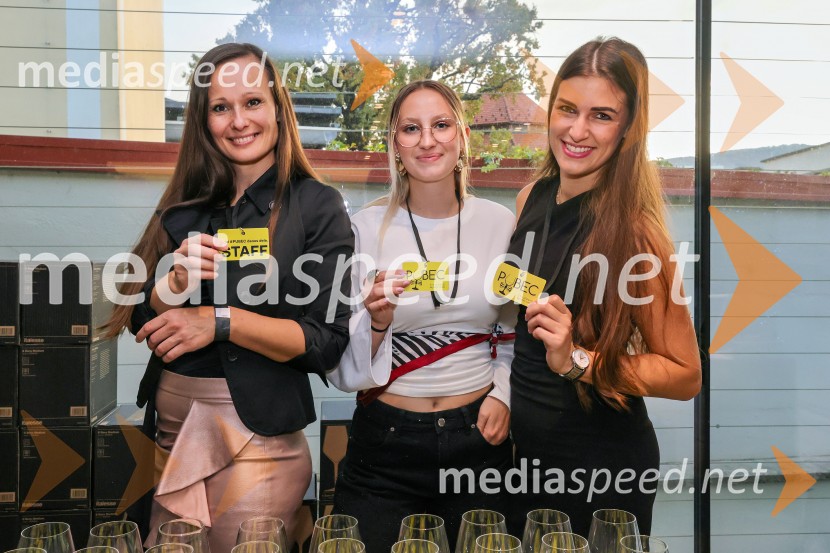 11. Salon štajerskih mladih vin Pubec v Mariboru