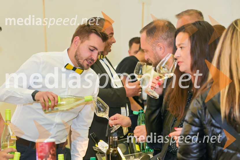 11. Salon štajerskih mladih vin Pubec v Mariboru