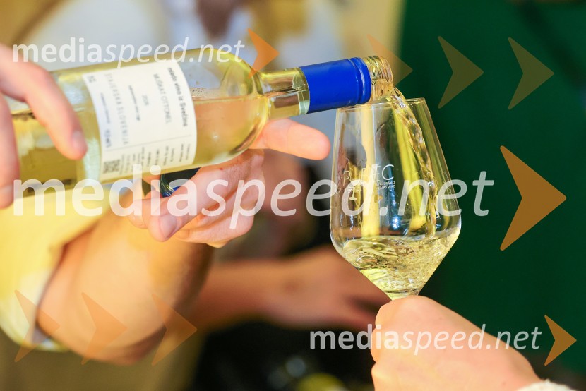 11. Salon štajerskih mladih vin Pubec v Mariboru