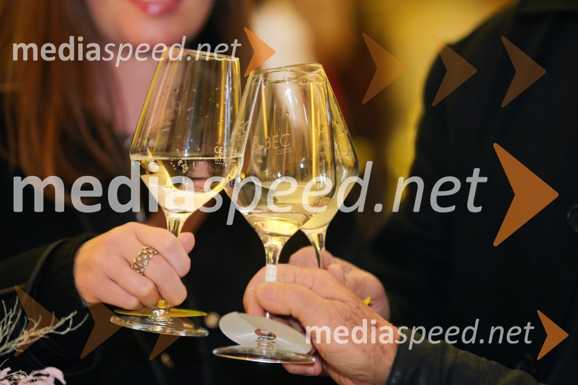11. Salon štajerskih mladih vin Pubec v Mariboru