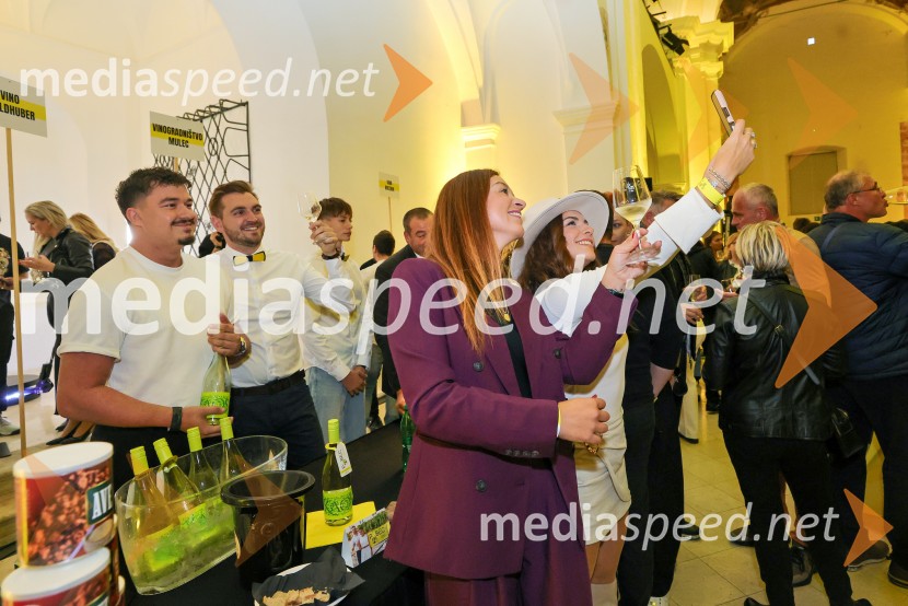 11. Salon štajerskih mladih vin Pubec v Mariboru