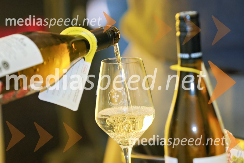 11. Salon štajerskih mladih vin Pubec v Mariboru