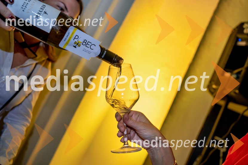11. Salon štajerskih mladih vin Pubec v Mariboru