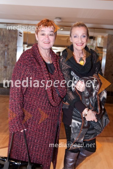 	Breda Mijovič, modna poznavalka in Mojca Beseničar, modna oblikovalkaI know you want me-young fresh creative, modna revija