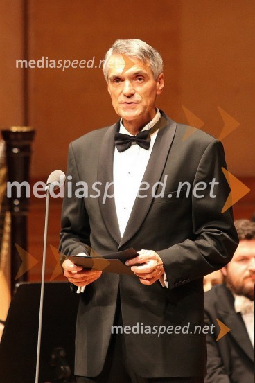 Slobodan Sibinčič, predsednik uprav GV skupine in predsednik sveta Managerskih koncertov17. Manager koncert