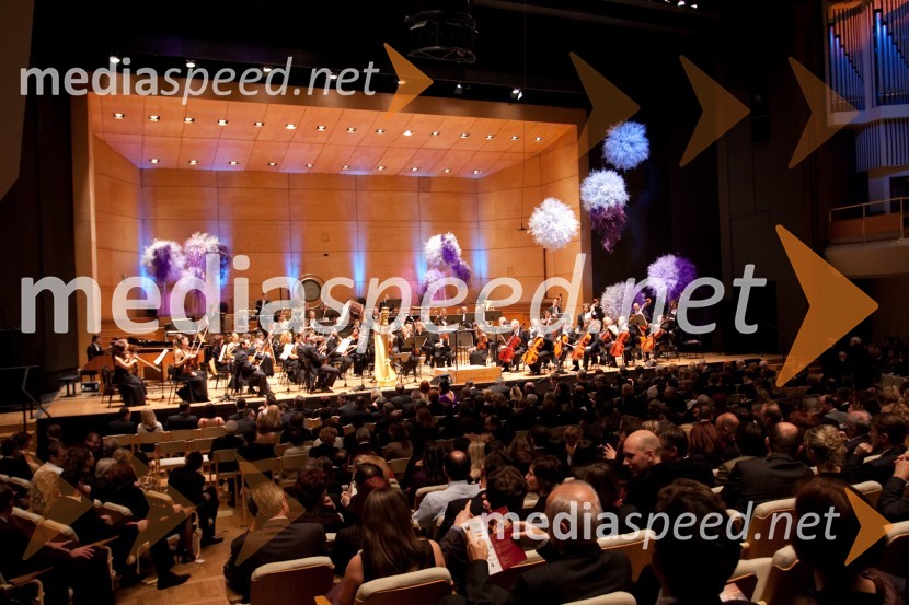 Manager koncert17. Manager koncert