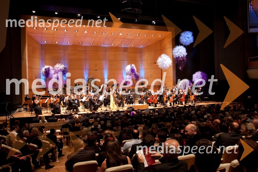 Manager koncert17. Manager koncert