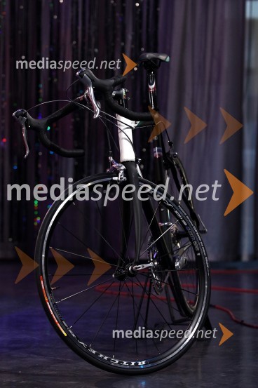 KoloSlovenski avto leta 2010