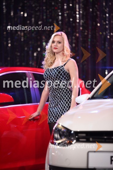 Slovenski avto leta 2010