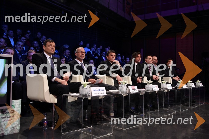 Slovenski avto leta 2010