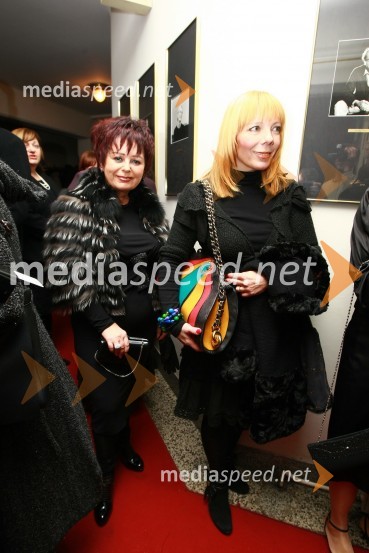 Zdenka Kahne, lastnica in direktorica kozmetike Kahne in Vlasta Cah Žerovnik, modna novinarkaSlovenka leta 2009 je ... Katarina Kresal