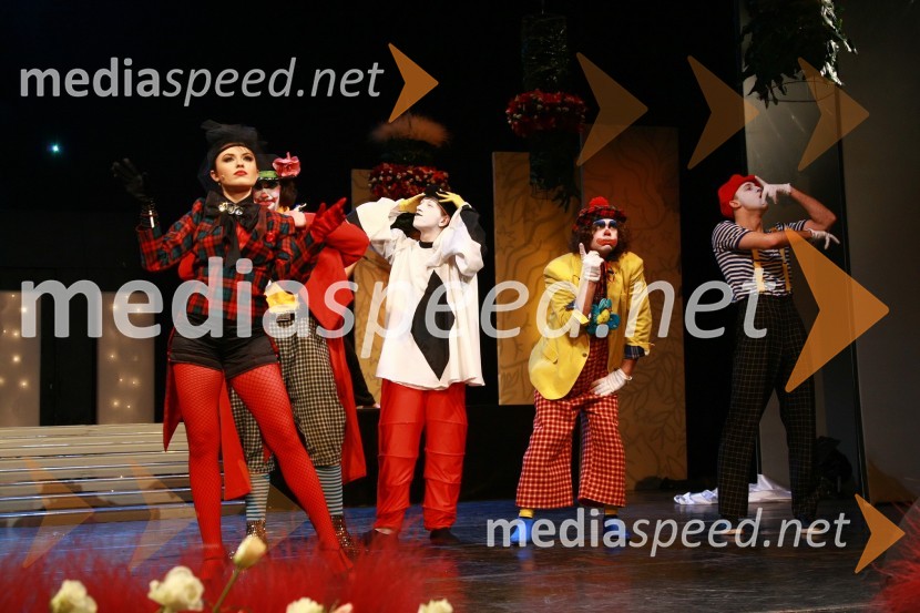 Maja Martina Merljak, povezovalka prireditveSlovenka leta 2009 je ... Katarina Kresal