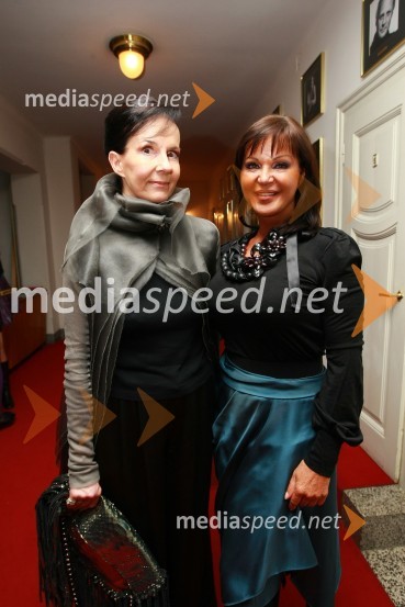 Marjeta Grošelj, oblikovaka torbic in Miša Molk, varuhinja pravic gledalcev in poslušalcev RTV SlovenijaSlovenka leta 2009 je ... Katarina Kresal