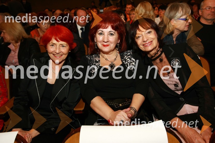 Mojca Senčar, Slovenka leta 2005 ter predsednica Slovenskega združenja za boj proti raku dojk, Vlasta Nussdorfer, generalna sekretarka društva Beli obroč in Manca Košir, publicistkaSlovenka leta 2009 je ... Katarina Kresal