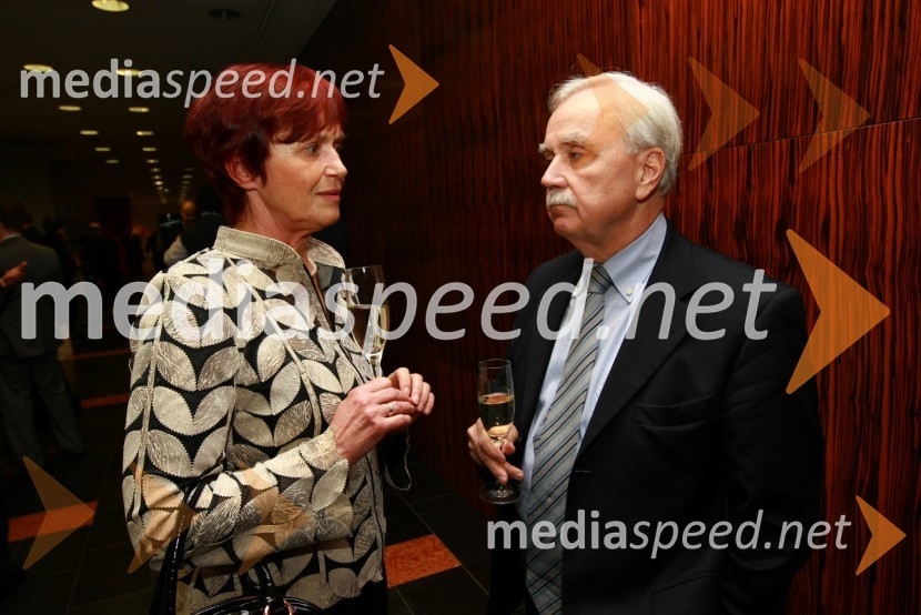 Mirjam Kastelič, Slovenske železnice in dr. Johannes Ludewig, predsednik CERRIMC 2010