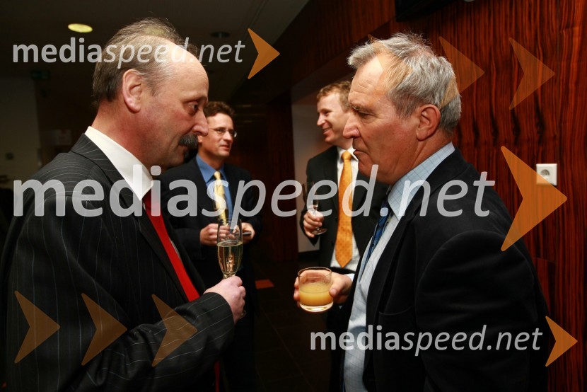 Mag. Ljubo Žerak, direktorat Direktorata za železnice in žičnice in ... 
 
RIMC 2010