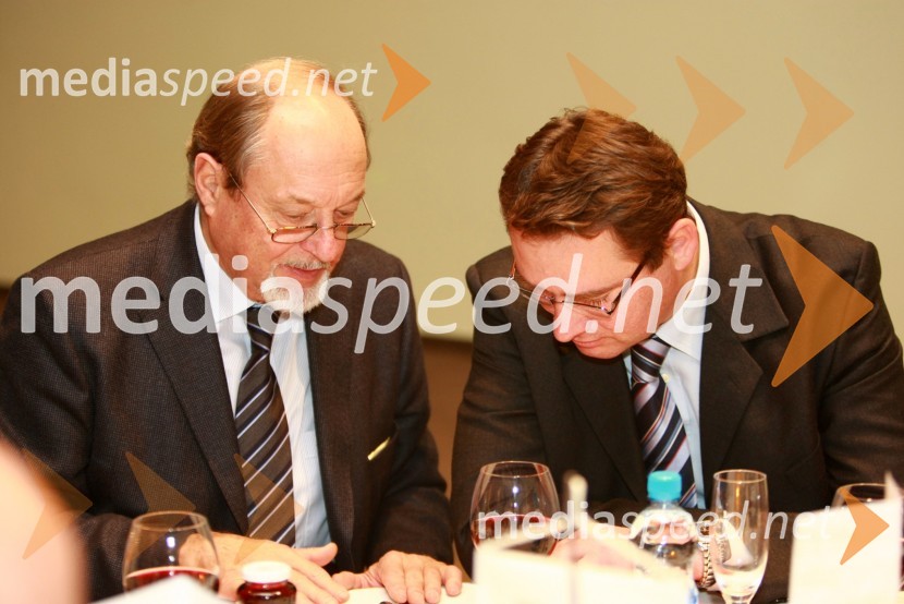Prof. dr. Klaus Riesberger, TU Graz Avstrija in prof. dr. Tomislav J. Mlinarić, Fakulteta prometnih znanosti Zagreb
RIMC 2010