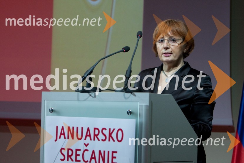 Tatjana Fink, direktorica podjetja Trimo Trebnje d.dZdruženje Manager, januarsko srečanje in podelitev priznanja za življenjsko delo na področju managementa