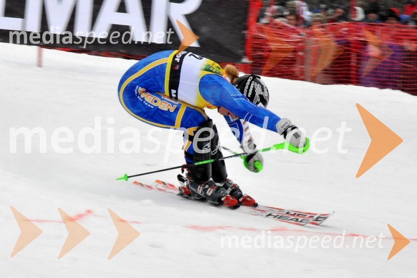 46. Zlata lisica, slalom