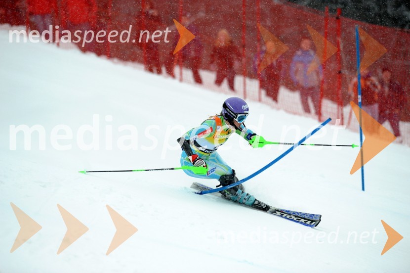 Mediaspeed Zlata Lisica Slalom