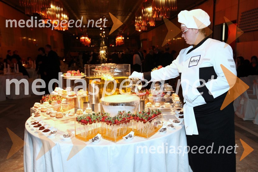 Pogostitev13. Veliki dobrodelni ples Lions kluba Ljubljana ob 20-obletnici lionizma v Sloveniji