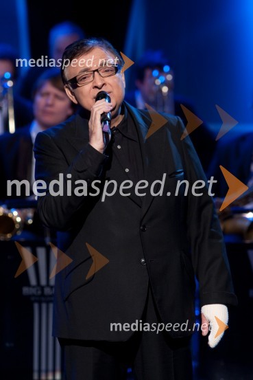 Oto Pestner, pevecStopimo skupaj za nedonošenčke, dobrodelni koncert