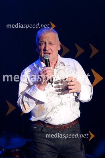 Še pomnite prijatelji, koncert