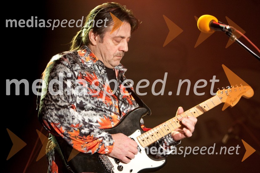 Še pomnite prijatelji, koncert