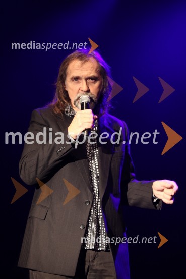 Dragan BuličŠe pomnite prijatelji, koncert