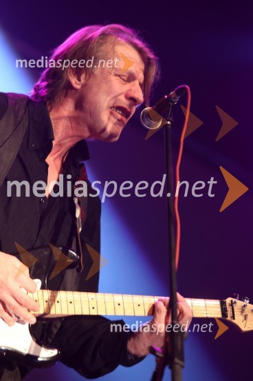 Še pomnite prijatelji, koncert