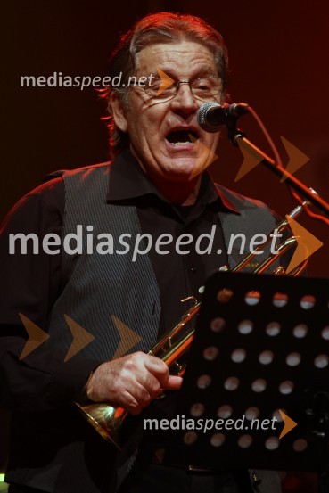 Še pomnite prijatelji, koncert