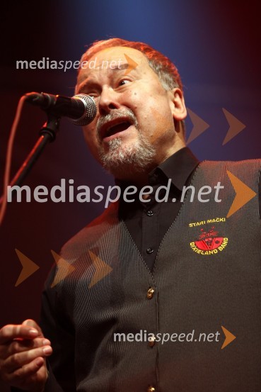 Še pomnite prijatelji, koncert