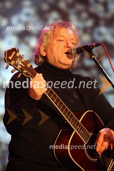 Še pomnite prijatelji, koncert