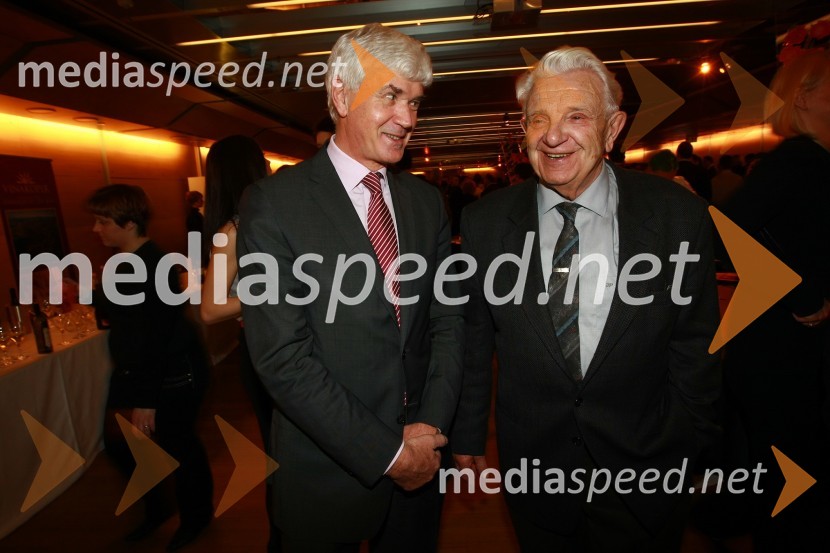 Podelitev nagrad Gospodarske zbornice Slovenije za izjemne gospodarske in podjetniške dosežke