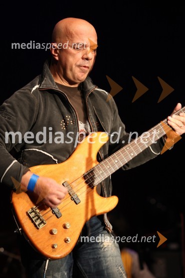 Še pomnite prijatelji, koncert