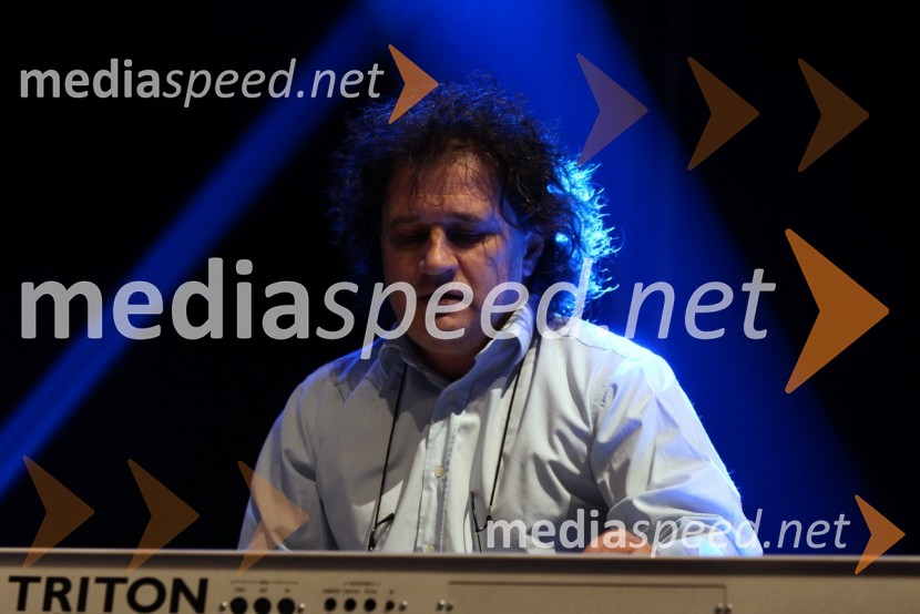 Še pomnite prijatelji, koncert