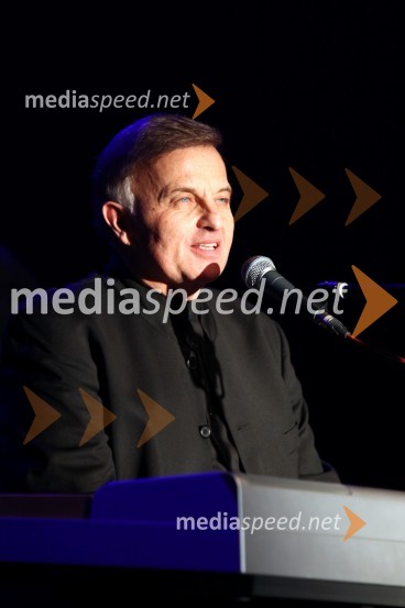 Jernej Jung, glasbenikŠe pomnite prijatelji, koncert