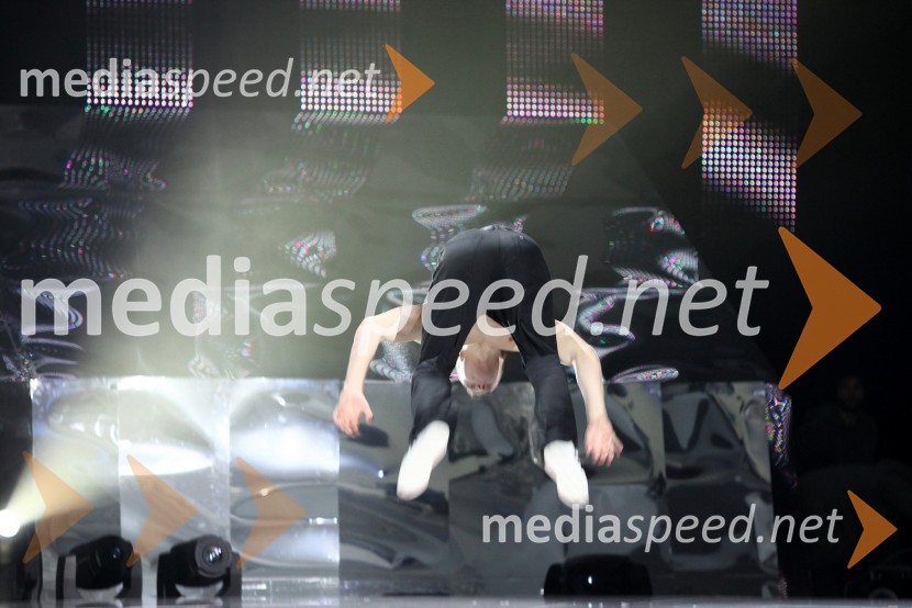 PlesalecEMA 2010, predizbor