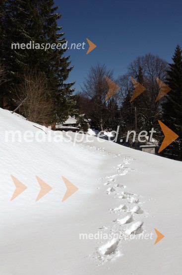 Zimska pravljica na PohorjuZimska pravljica na Pohorju