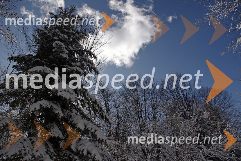 Zimska pravljica na PohorjuZimska pravljica na Pohorju