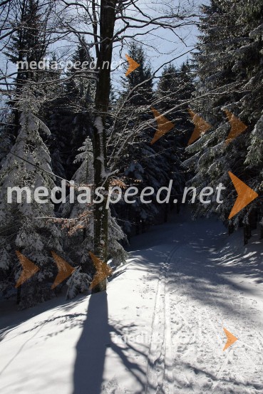 Zimska pravljica na PohorjuZimska pravljica na Pohorju