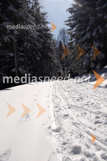 Zimska pravljica na PohorjuZimska pravljica na Pohorju