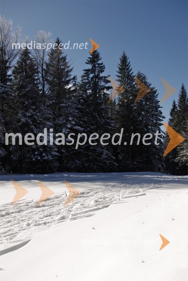 Zimska pravljica na PohorjuZimska pravljica na Pohorju