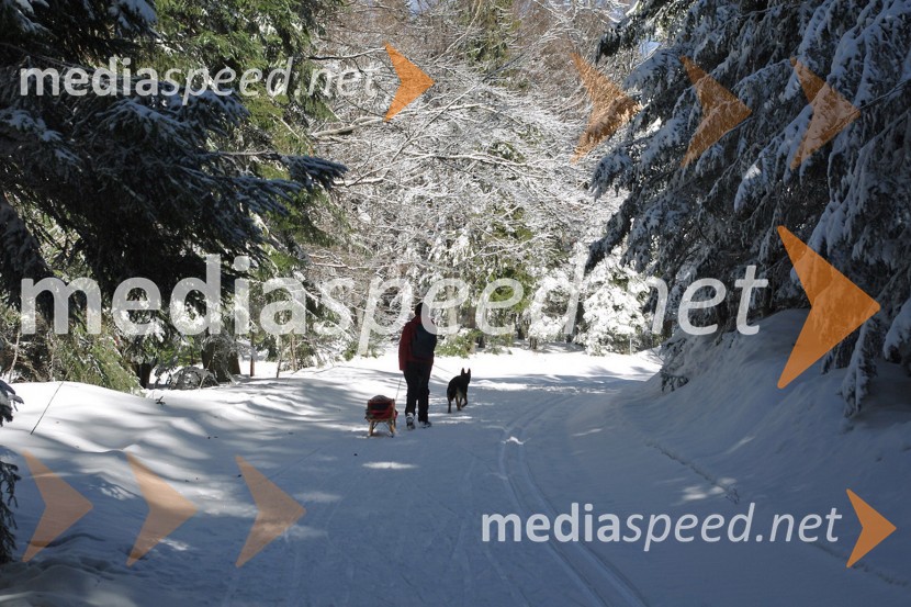 Zimska pravljica na PohorjuZimska pravljica na Pohorju