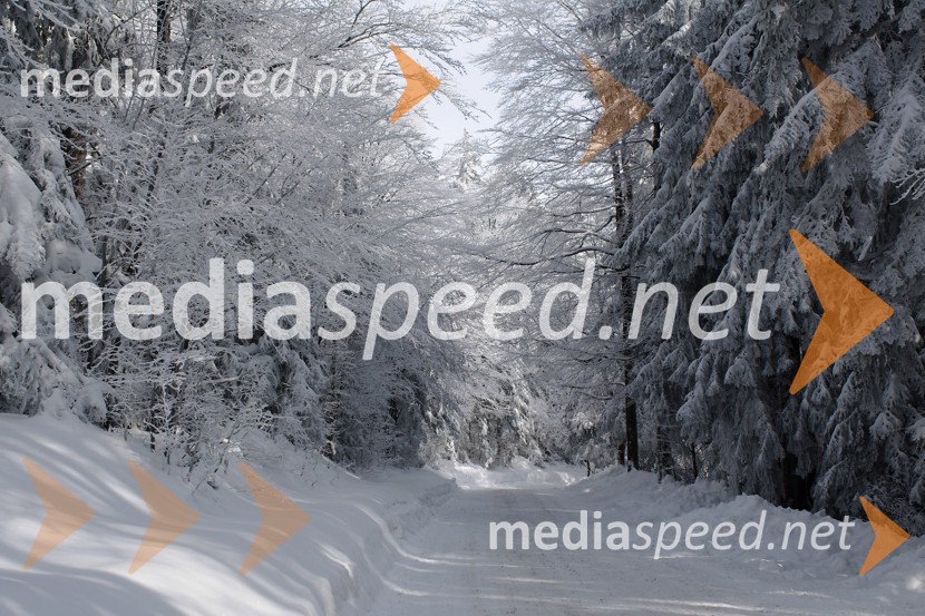 Zimska pravljica na PohorjuZimska pravljica na Pohorju