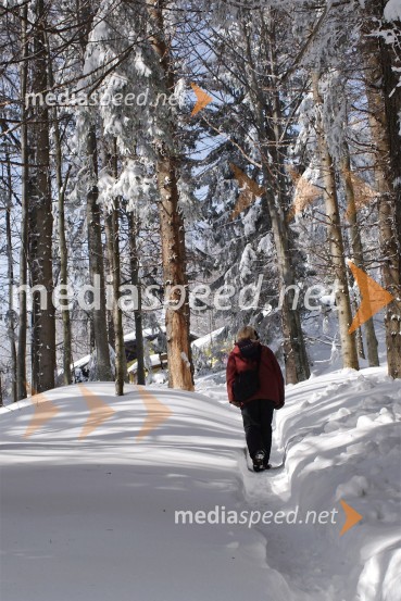 Zimska pravljica na PohorjuZimska pravljica na Pohorju