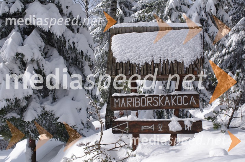 Zimska pravljica na PohorjuZimska pravljica na Pohorju