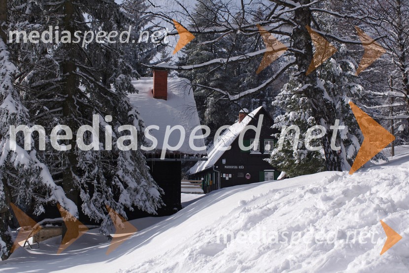 Zimska pravljica na PohorjuZimska pravljica na Pohorju